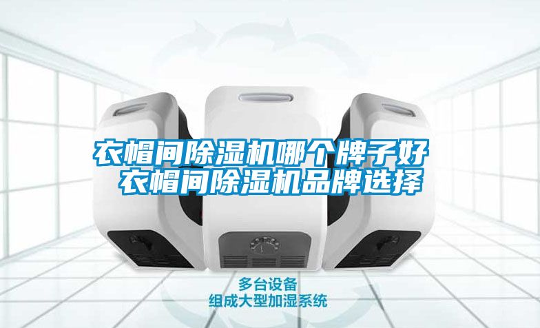 衣帽間91看片在线下载機哪個牌子好 衣帽間91看片在线下载機品牌選擇