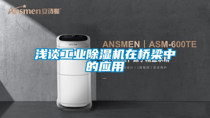淺談工業91看片在线下载機在橋梁中的應用
