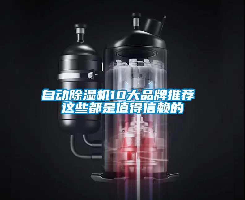 自動91看片在线下载機10大品牌推薦 這些都是值得信賴的