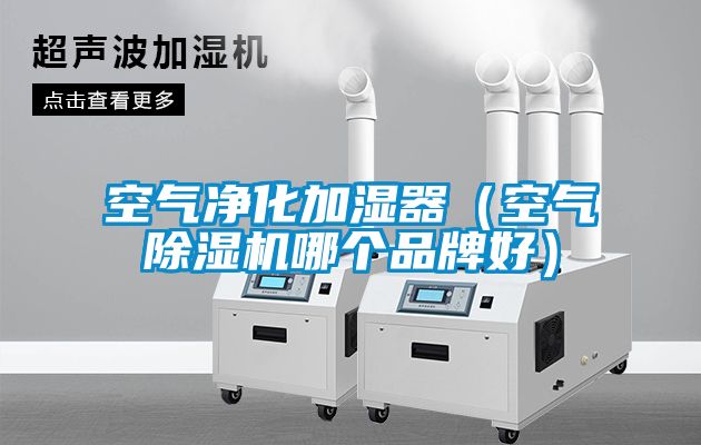空氣淨化加濕器（空氣91看片在线下载機哪個品牌好）