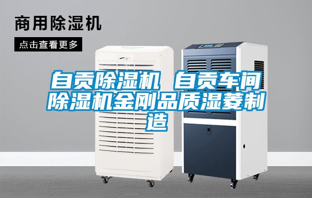 自貢91看片在线下载機 自貢車間91看片在线下载機金剛品質濕菱製造