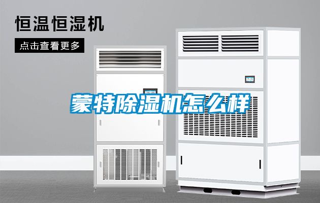 蒙特91看片在线下载機怎麽樣