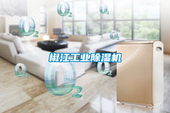 椒江工業91看片在线下载機