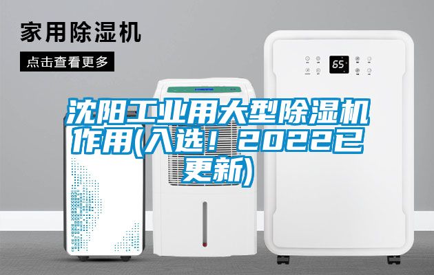 沈陽工業用大型91看片在线下载機作用(入選！2022已更新)