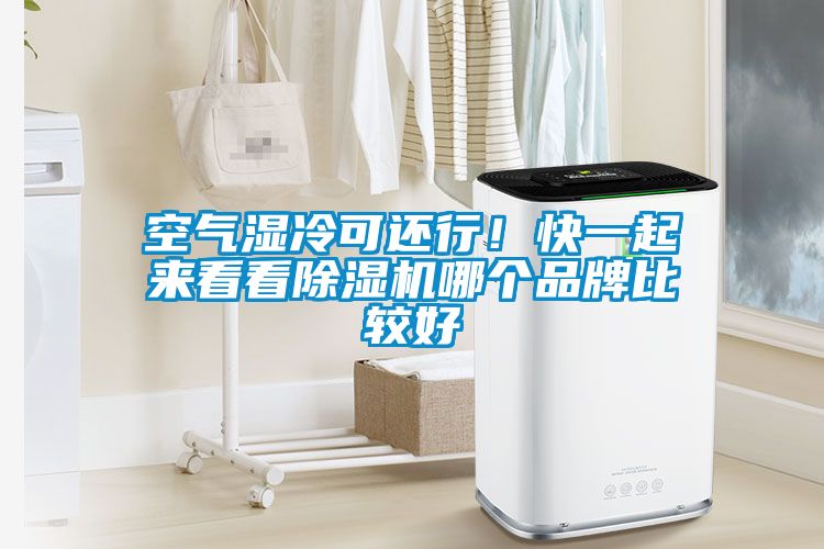 空氣濕冷可還行！快一起來看看91看片在线下载機哪個品牌比較好