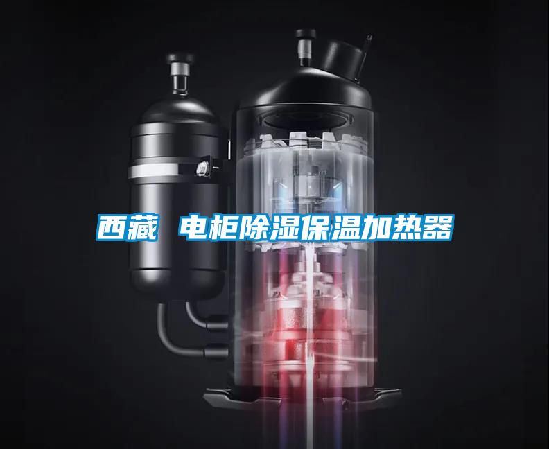 西藏 電櫃91看片在线下载保溫加熱器