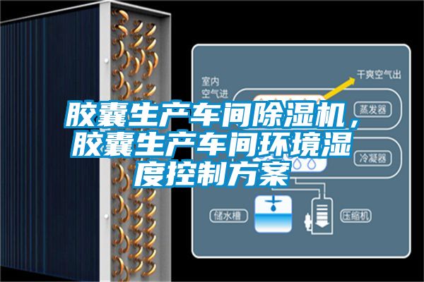 膠囊生產車間91看片在线下载機，膠囊生產車間環境濕度控製免费看片下载