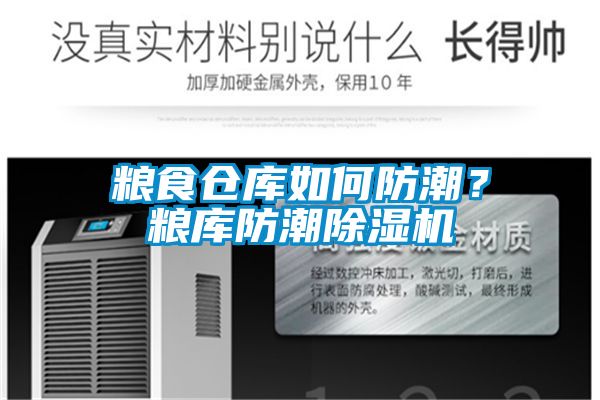 糧食倉庫如何防潮？糧庫防潮91看片在线下载機