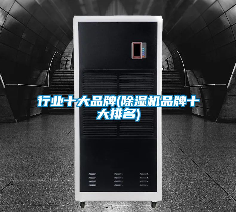 行業十大品牌(91看片在线下载機品牌十大排名)