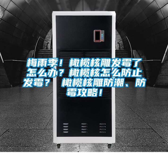梅雨季！橄欖核雕發黴了怎麽辦？橄欖核怎麽防止發黴？ 橄欖核雕防潮、防黴攻略！