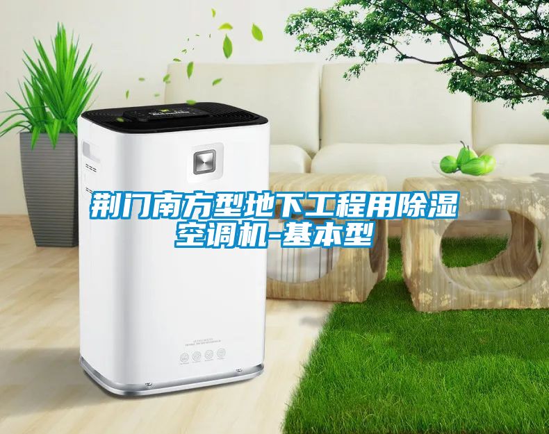 荊門南方型地下工程用91看片在线下载空調機-基本型