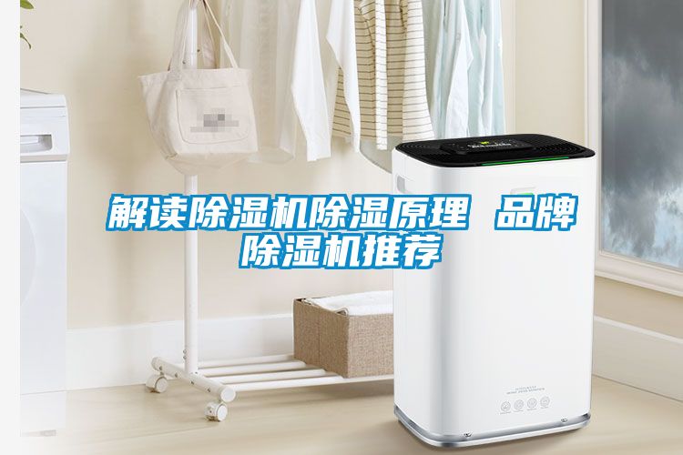 解讀91看片在线下载機91看片在线下载原理 品牌91看片在线下载機推薦