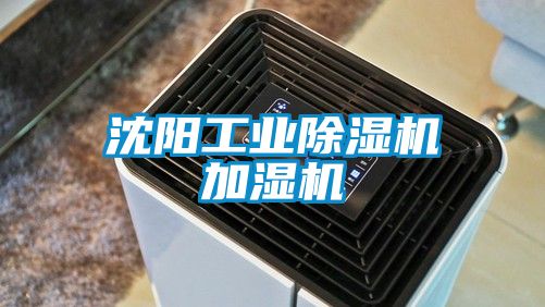 沈陽工業91看片在线下载機加濕機