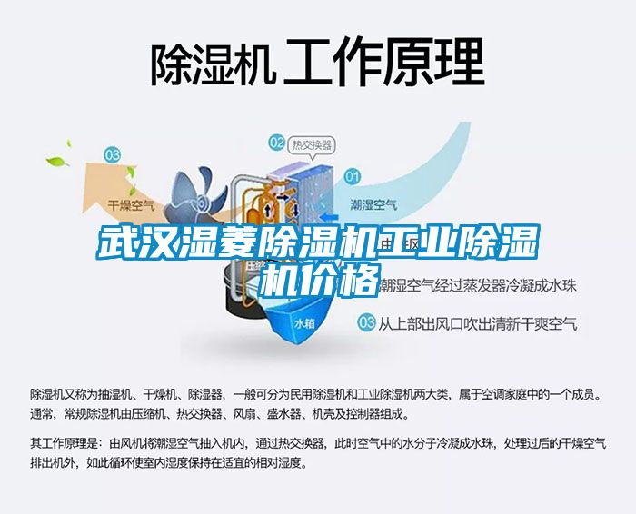 武漢濕菱91看片在线下载機工業91看片在线下载機價格