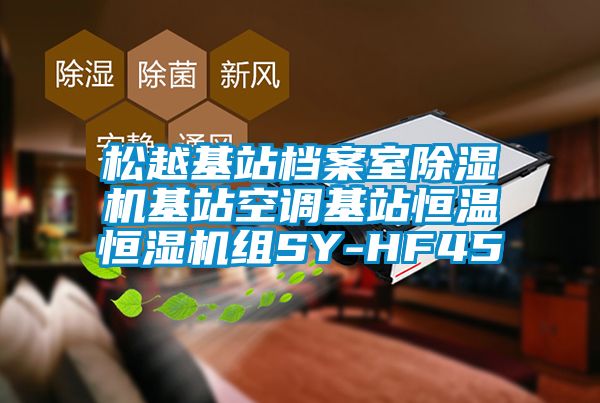 鬆越基站檔案室91看片在线下载機基站空調基站恒溫恒濕機組SY-HF45
