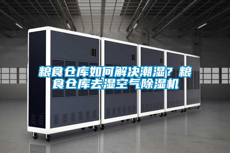 糧食倉庫如何解決潮濕？糧食倉庫去濕空氣91看片在线下载機