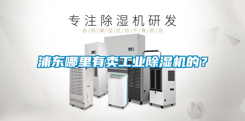浦東哪裏有賣工業91看片在线下载機的？