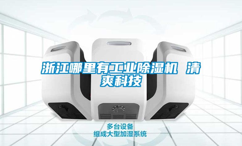 浙江哪裏有工業91看片在线下载機 清爽科技