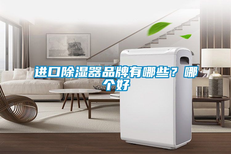 進口91看片在线下载器品牌有哪些？哪個好