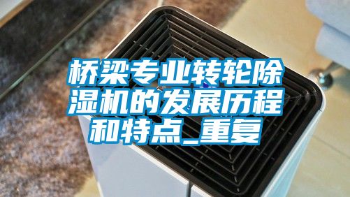橋梁專業轉輪91看片在线下载機的發展曆程和特點_重複