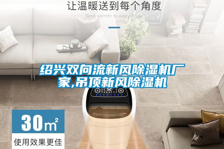 紹興雙向流新風91看片在线下载機廠家,吊頂新風91看片在线下载機