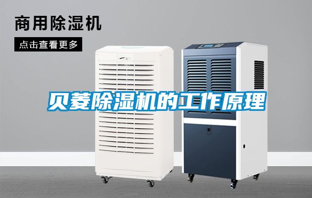 貝菱91看片在线下载機的工作原理