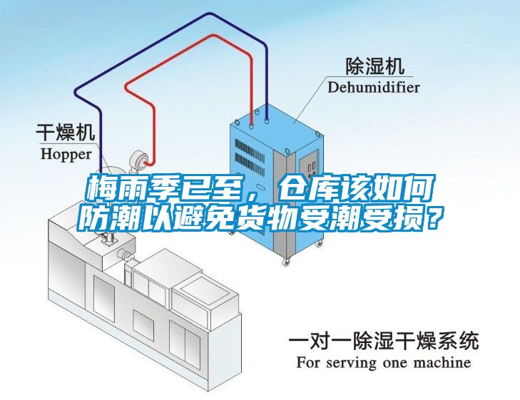 梅雨季已至，倉庫該如何防潮以避免貨物受潮受損？