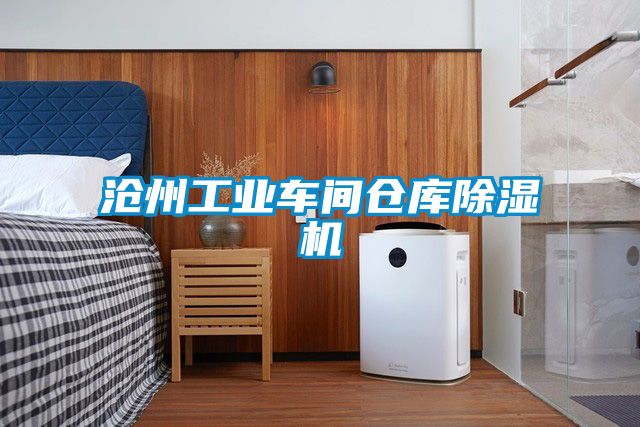 滄州工業車間倉庫91看片在线下载機