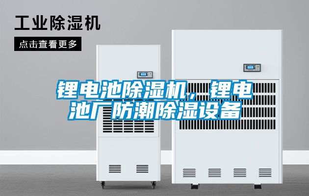 鋰電池91看片在线下载機，鋰電池廠防潮91看片在线下载設備