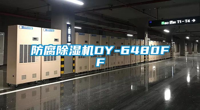 防腐91看片在线下载機DY-6480FF