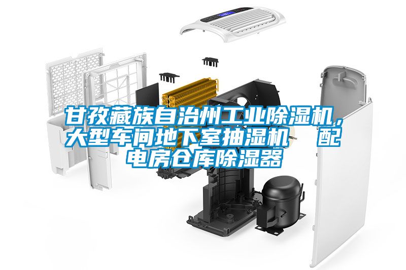 甘孜藏族自治州工業91看片在线下载機，大型車間地下室抽濕機  配電房倉庫91看片在线下载器
