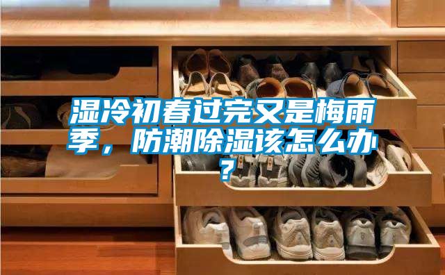 濕冷初春過完又是梅雨季，防潮91看片在线下载該怎麽辦？
