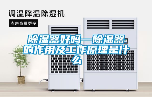 91看片在线下载器好嗎—91看片在线下载器的作用及工作原理是什麽
