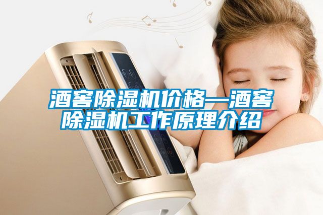 酒窖91看片在线下载機價格—酒窖91看片在线下载機工作原理介紹