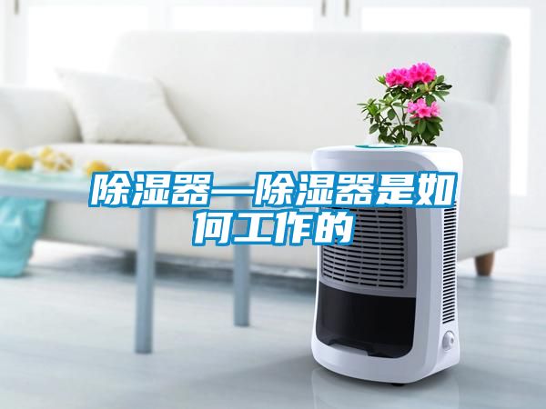 91看片在线下载器—91看片在线下载器是如何工作的