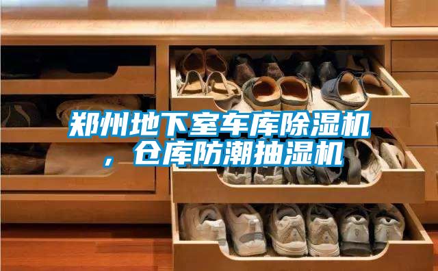 鄭州地下室車庫91看片在线下载機，倉庫防潮抽濕機
