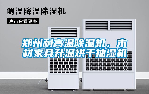 鄭州耐高溫91看片在线下载機，木材家具升溫烘幹抽濕機