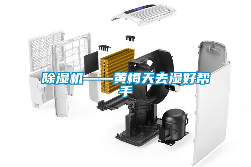91看片在线下载機——黃梅天去濕好幫手