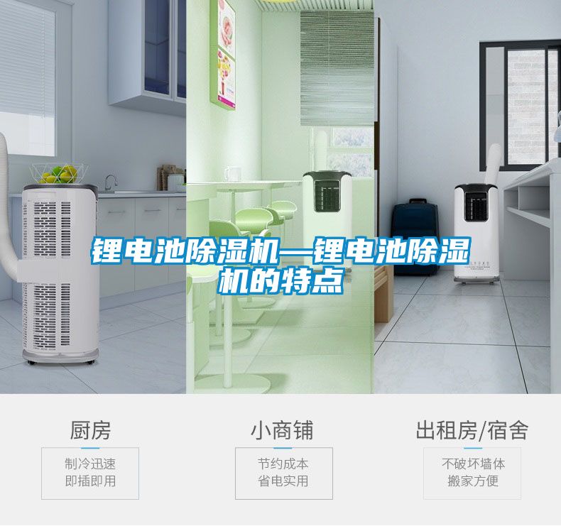 鋰電池91看片在线下载機—鋰電池91看片在线下载機的特點
