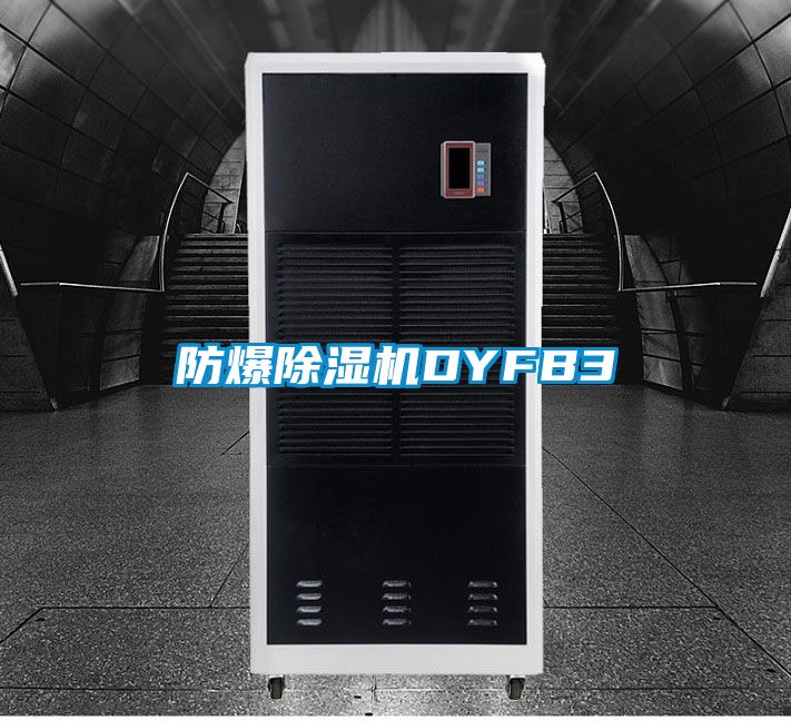 防爆91看片在线下载機DYFB3
