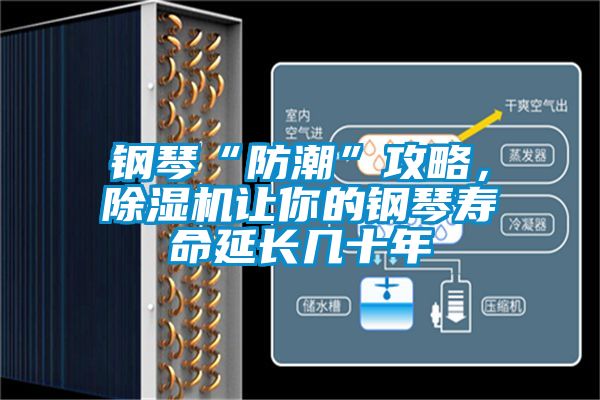 鋼琴“防潮”攻略，91看片在线下载機讓你的鋼琴壽命延長幾十年