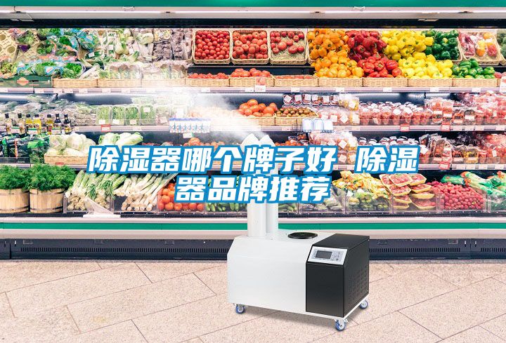 91看片在线下载器哪個牌子好 91看片在线下载器品牌推薦
