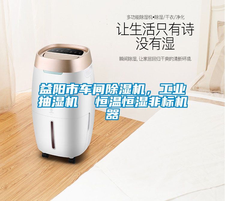 益陽市車間91看片在线下载機，工業抽濕機  恒溫恒濕非標機器