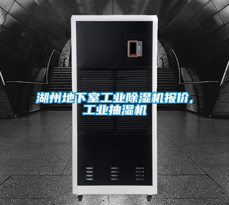 湖州地下室工業91看片在线下载機報價,工業抽濕機