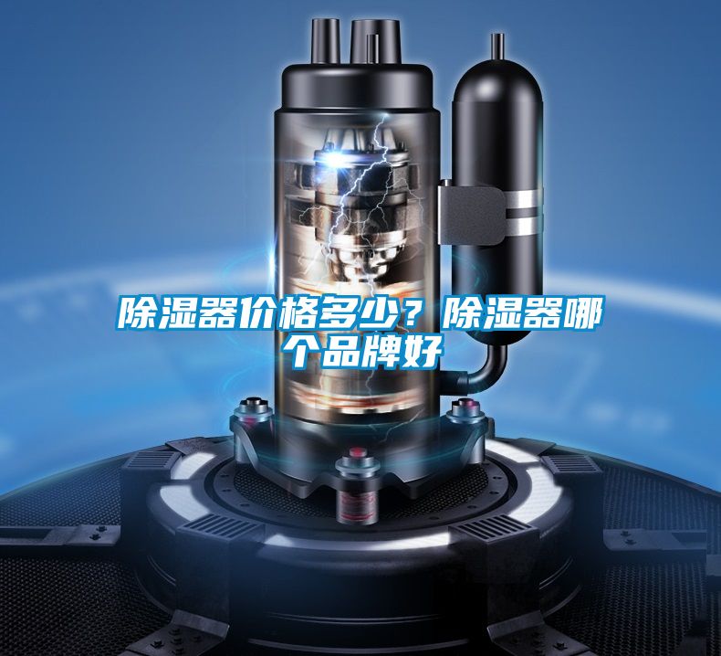 91看片在线下载器價格多少？91看片在线下载器哪個品牌好