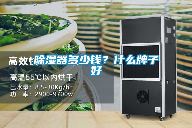 91看片在线下载器多少錢？什麽牌子好