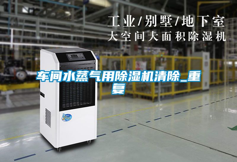 車間水蒸氣用91看片在线下载機清除_重複