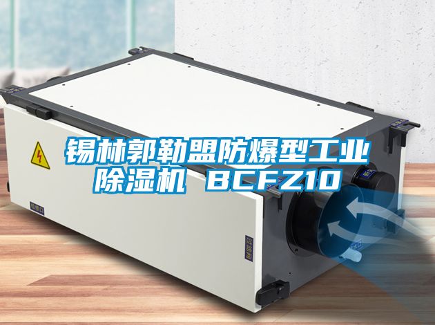 錫林郭勒盟防爆型工業91看片在线下载機 BCFZ10