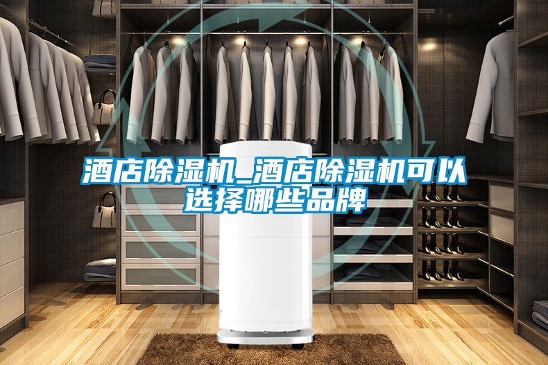 酒店91看片在线下载機_酒店91看片在线下载機可以選擇哪些品牌