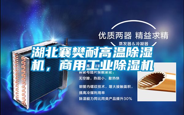 湖北襄樊耐高溫91看片在线下载機，商用工業91看片在线下载機